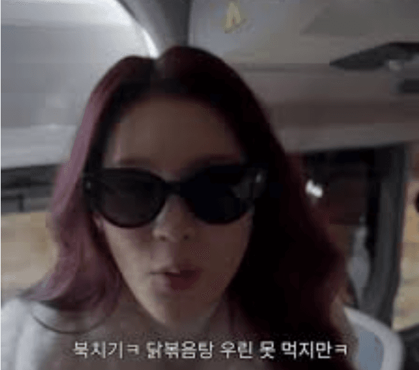 에이나의 닭볶음탕