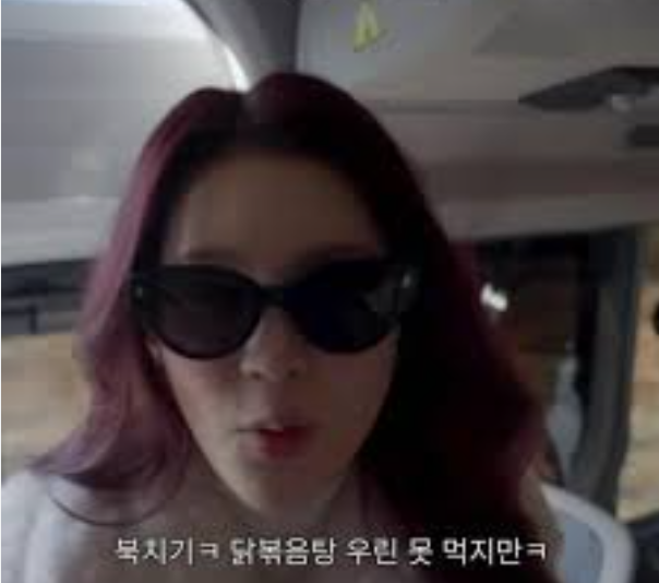 에이나의 닭볶음탕